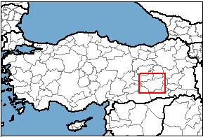 Diyarbakır konum haritası