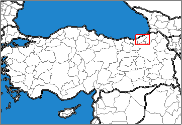 Rize Türkiye'nin neresinde. Diyarbakır konum haritası