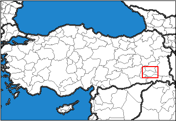 Siirt Türkiye'nin neresinde. Siirt konum haritası