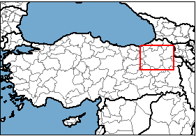 Erzurum konum haritası