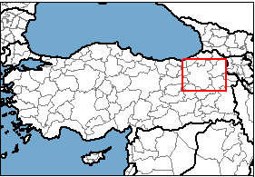 Erzurum Türkiye'nin neresinde. Adana konum haritası