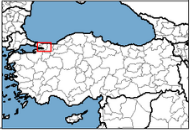 Kocaeli Türkiye'nin neresinde. Kocaeli konum haritası