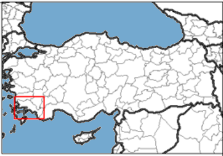 Muğla Türkiye'nin neresinde. Adana konum haritası