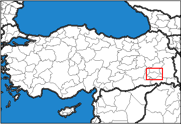 Siirt Türkiye'nin neresinde. İstanbul konum haritası